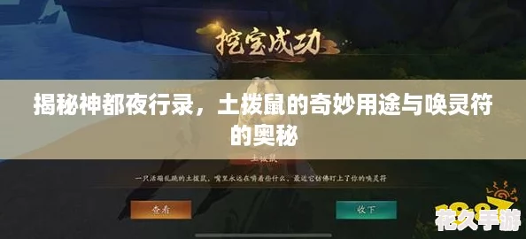 揭秘神都夜行录，土拨鼠的奇妙用途与唤灵符的奥秘