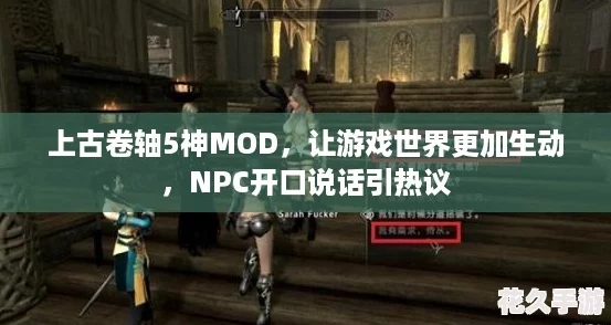 上古卷轴5神MOD，让游戏世界更加生动，NPC开口说话引热议