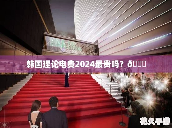 韩国理论电费2024最贵吗？🔍