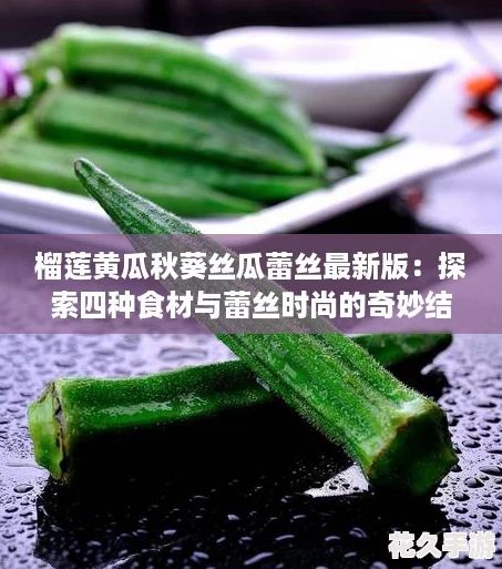 榴莲黄瓜秋葵丝瓜蕾丝最新版：探索四种食材与蕾丝时尚的奇妙结合