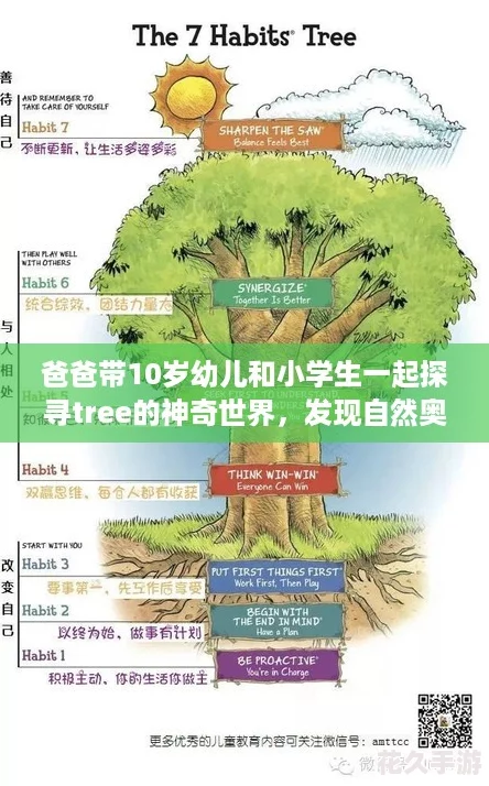 爸爸带10岁幼儿和小学生一起探寻tree的神奇世界，发现自然奥秘