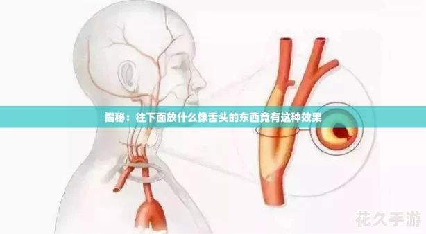 揭秘：往下面放什么像舌头的东西竟有这种效果