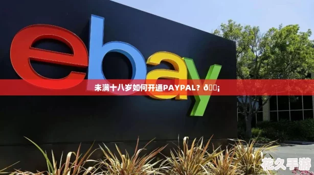 未满十八岁如何开通PAYPAL？💡