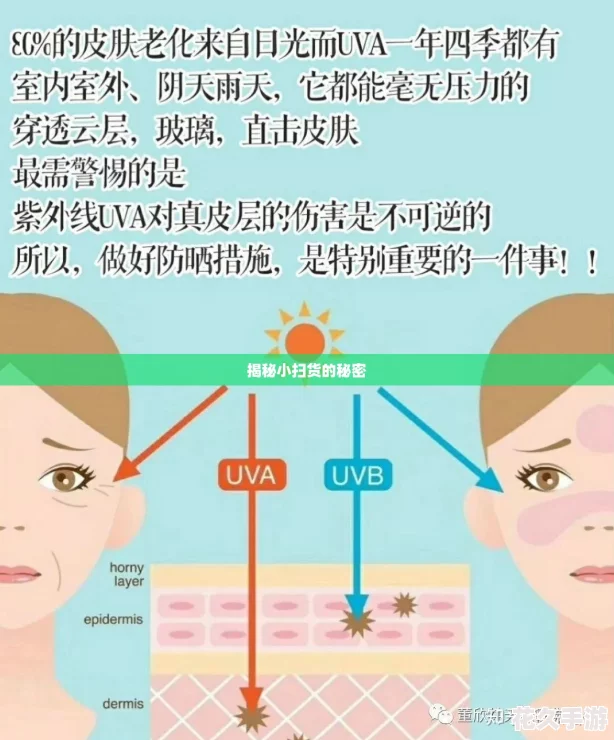 揭秘小扫货的秘密