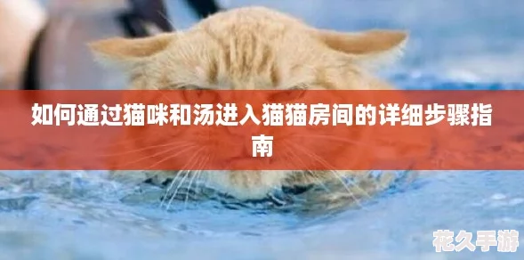 如何通过猫咪和汤进入猫猫房间的详细步骤指南