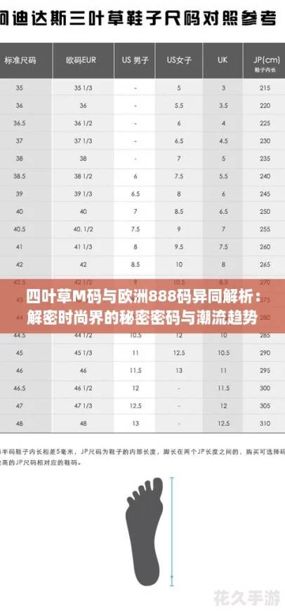 四叶草M码与欧洲888码异同解析：解密时尚界的秘密密码与潮流趋势