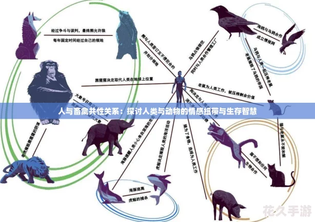 人与畜禽共性关系：探讨人类与动物的情感纽带与生存智慧