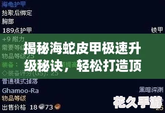 揭秘海蛇皮甲极速升级秘诀，轻松打造顶级防御装备！