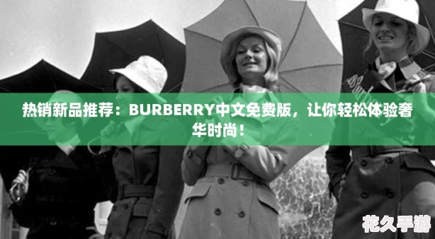 热销新品推荐：BURBERRY中文免费版，让你轻松体验奢华时尚！